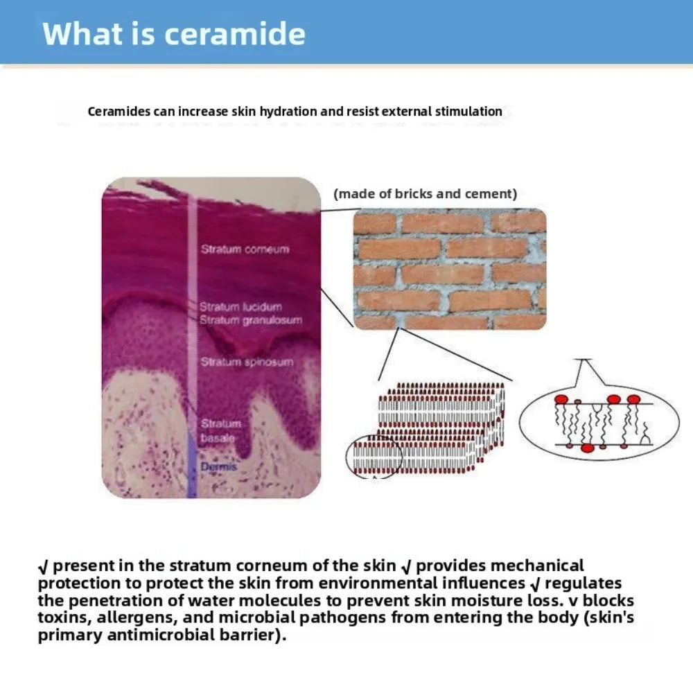 Cosmetic Grade Ceramide Powder for Skin Care – 50g to 1000g