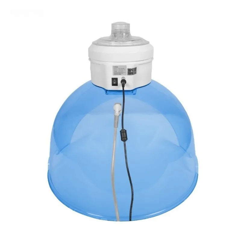 Physiotherapy Oxygen Facial Mask Machine Photon Beauty Hydrogen Oxygen Masks Led Light Therapy Device Deep Cleansing Spray Mask